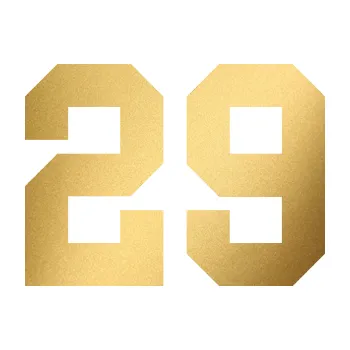 Polep vozidla Startovní číslo 29 (43 - zlatá metalíza) SAMOLEPKA NA AUTO, NÁLEPKA, FÓLIE, POLEP, TUNING, VLASTNÍ TEXT, TISK, AUTOSAMOLEPKY.cz, POLEPY, OBRÁZEK, LOGO, 3D STICKERS