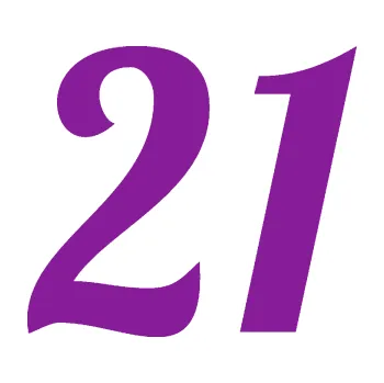 Polep vozidla SAMOLEPKA Startovní číslo 21 typ 3 (14 - fialová) NA AUTO, NÁLEPKA, FÓLIE, POLEP, TUNING, VLASTNÍ TEXT, TISK, AUTOSAMOLEPKY.cz, POLEPY, OBRÁZEK, LOGO, SAMOLEPKY