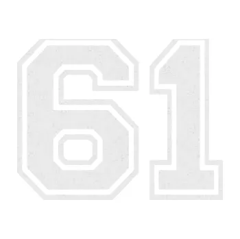 Polep vozidla Startovní číslo 61 typ 4 (84 - Ultra Metalic bílá) SAMOLEPKA NA AUTO, NÁLEPKA, FÓLIE, POLEP, TUNING, VLASTNÍ TEXT, TISK, AUTOSAMOLEPKY.cz, POLEPY, OBRÁZEK, LOGO, 3D STICKERS