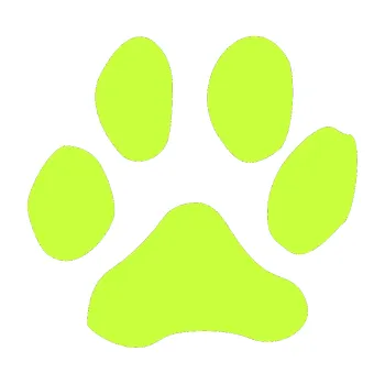 Samolepící dekorace Tlapka 001 pravá (27 - limetová) SAMOLEPKA NA AUTO, NÁLEPKA, FÓLIE, POLEP, TUNING, VLASTNÍ TEXT, TISK, AUTOSAMOLEPKY.cz, POLEPY, OBRÁZEK, LOGO, 3D STICKERS