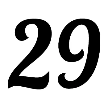 Polep vozidla Startovní číslo 29 typ 3 (01 - černá) SAMOLEPKA NA AUTO, NÁLEPKA, FÓLIE, POLEP, TUNING, VLASTNÍ TEXT, TISK, AUTOSAMOLEPKY.cz, POLEPY, OBRÁZEK, LOGO, 3D STICKERS