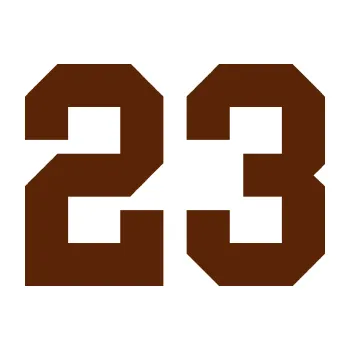 Polep vozidla Startovní číslo 23 (15 - hnědá) SAMOLEPKA NA AUTO, NÁLEPKA, FÓLIE, POLEP, TUNING, VLASTNÍ TEXT, TISK, AUTOSAMOLEPKY.cz, POLEPY, OBRÁZEK, LOGO, 3D STICKERS