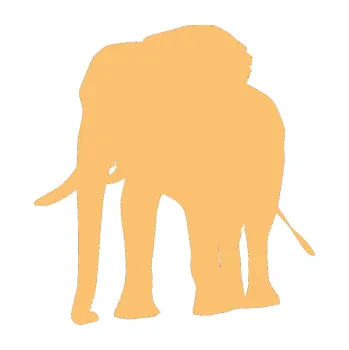 Samolepící dekorace Slon 009 levá (08 - béžová) SAMOLEPKA NA AUTO, NÁLEPKA, FÓLIE, POLEP, TUNING, VLASTNÍ TEXT, TISK, AUTOSAMOLEPKY.cz, POLEPY, OBRÁZEK, LOGO, 3D STICKERS