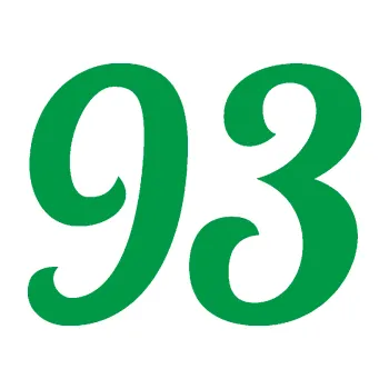 Polep vozidla Startovní číslo 93 typ 3 (12 - zelená) SAMOLEPKA NA AUTO, NÁLEPKA, FÓLIE, POLEP, TUNING, VLASTNÍ TEXT, TISK, AUTOSAMOLEPKY.cz, POLEPY, OBRÁZEK, LOGO, 3D STICKERS