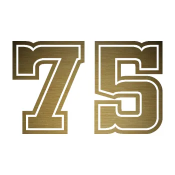 Polep vozidla Startovní číslo 75 typ 5 (64 - škrábaný kov zlatý) SAMOLEPKA NA AUTO, NÁLEPKA, FÓLIE, POLEP, TUNING, VLASTNÍ TEXT, TISK, AUTOSAMOLEPKY.cz, POLEPY, OBRÁZEK, LOGO, 3D STICKERS