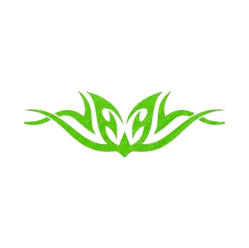 Polep vozidla Tetování 097 (58 - 3D karbon zelený kawasaki) SAMOLEPKA NA AUTO, NÁLEPKA, FÓLIE, POLEP, TUNING, VLASTNÍ TEXT, TISK, AUTOSAMOLEPKY.cz, POLEPY, OBRÁZEK, LOGO, 3D STICKERS