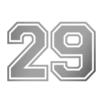 Polep vozidla Startovní číslo 29 typ 4 (42 - stříbrná metalíza) SAMOLEPKA NA AUTO, NÁLEPKA, FÓLIE, POLEP, TUNING, VLASTNÍ TEXT, TISK, AUTOSAMOLEPKY.cz, POLEPY, OBRÁZEK, LOGO, 3D STICKERS