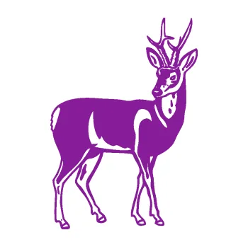 Samolepící dekorace Srnec 005 pravá (14 - fialová) SAMOLEPKA NA AUTO, NÁLEPKA, FÓLIE, POLEP, TUNING, VLASTNÍ TEXT, TISK, AUTOSAMOLEPKY.cz, POLEPY, OBRÁZEK, LOGO, 3D STICKERS
