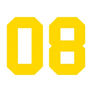 Polep vozidla Startovní číslo 08 (13 - jasně žlutá) SAMOLEPKA NA AUTO, NÁLEPKA, FÓLIE, POLEP, TUNING, VLASTNÍ TEXT, TISK, AUTOSAMOLEPKY.cz, POLEPY, OBRÁZEK, LOGO, 3D STICKERS