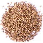 Darka Company Koriandr plod celý 100 g