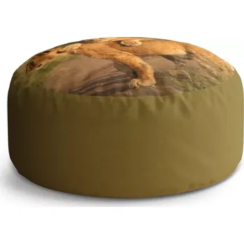 Sedací pytel Kulatý taburet Circle Lvíčata: 38x48 cm - Sablio