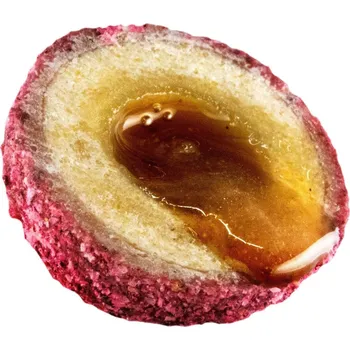 Boilies LK Baits Nutrigo Plumberry 200ml