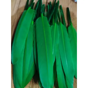 Kachní peří délka 9-14 cm barva zelená