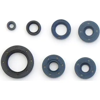 Těsnění pro motocykl Sada gufer motoru ATHENA BMW F 650 Dakar (99-00) rok 93-98