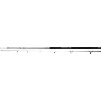 Rybářský prut Daiwa Exceler CatFish Boje 3 m 200-600 g