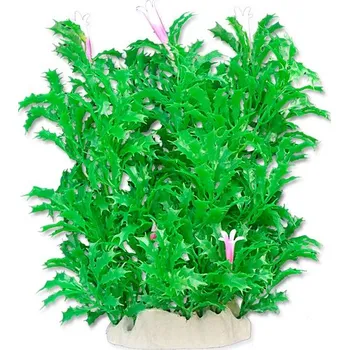 Akvarijní rostlina Umělá akvarijní rostlina - Happet 2F18