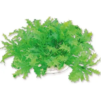 Akvarijní rostlina Umělá akvarijní rostlina - Happet 1F22