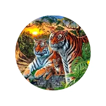 Jedlá dekorace na dort TYGŘI, VARIANTA Jedlý papír 887