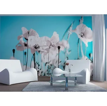 Fototapeta KUPSI-TAPETY Fototapeta na zeď 3-dílná Vliesová FT 0118 bílé máky