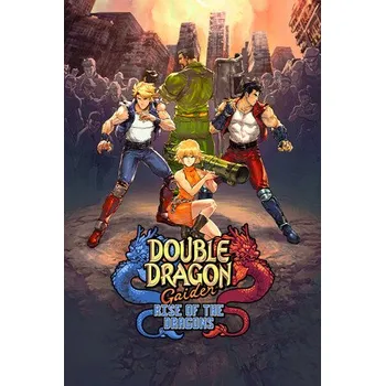 Počítačová hra Double Dragon Gaiden: Rise Of The Dragons PC