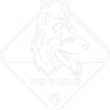 Samolepicí dekorace na vozidlo Pes v autě Vlčák 2 samolepka na auto - oranžová / 15x15 cm