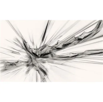 Fototapeta Vliesové fototapety abstrakce černo-bílá IMPOL TRADE 3540 VEXL