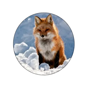 Přisada na vaření a pečení LIŠKA, VARIANTA Jedlý papír 373