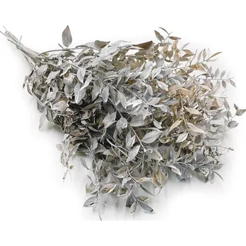 mech-mech.cz Stabilizovaný&nbsp;Ruskus - (Ruscus) - žlutý