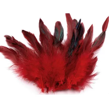 Slepičí peří délka 6-20 cm