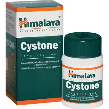 Přírodní produkt Himalaya Herbals Cystone 100 tbl.