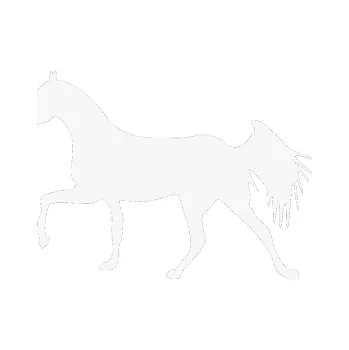 Samolepící dekorace SAMOLEPKA Kůň 001 levá (09 - bílá) NA AUTO, NÁLEPKA, FÓLIE, POLEP, TUNING, VLASTNÍ TEXT, TISK, AUTOSAMOLEPKY.cz, POLEPY, OBRÁZEK, LOGO, SAMOLEPKY