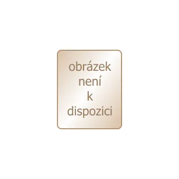 Dámská košilka DKaren Flawia krémová krémová M