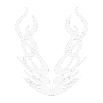 Polep vozidla SAMOLEPKA Kapota 015 (09 - bílá) NA AUTO, NÁLEPKA, FÓLIE, POLEP, TUNING, VLASTNÍ TEXT, TISK, AUTOSAMOLEPKY.cz, POLEPY, OBRÁZEK, LOGO, SAMOLEPKY