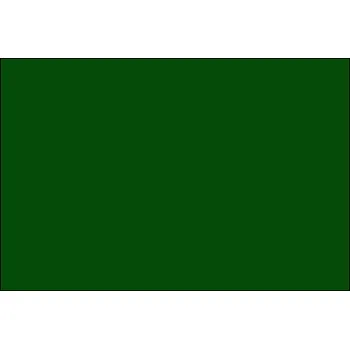 Oracal 641-060 Dark Green š. 100cm matná