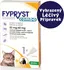 Antiparazitikum pro kočku KRKA Fypryst Combo Spot-On pro kočky 0,5 ml