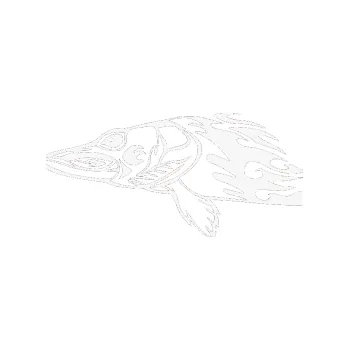 Samolepicí dekorace na vozidlo Animal flames 074 levá ryba (09 - bílá) SAMOLEPKA NA AUTO, NÁLEPKA, FÓLIE, POLEP, TUNING, VLASTNÍ TEXT, TISK, AUTOSAMOLEPKY.cz, POLEPY, OBRÁZEK, LOGO, 3D STICKERS