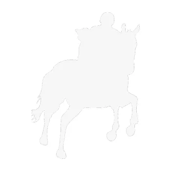 Samolepící dekorace Kůň 021 pravá s jezdcem (09 - bílá) SAMOLEPKA NA AUTO, NÁLEPKA, FÓLIE, POLEP, TUNING, VLASTNÍ TEXT, TISK, AUTOSAMOLEPKY.cz, POLEPY, OBRÁZEK, LOGO, 3D STICKERS