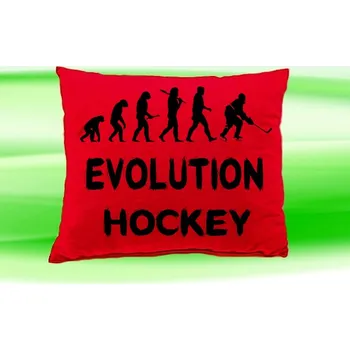 Polštář Polštář Evolution HOCKEY (polštářek evolution hokej)