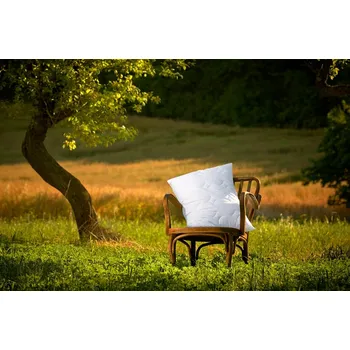 Polštář Ložnice21, Ložnice21. Polštář Silver Origin Rozměr: 35x35 cm bez zipu (260g)