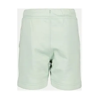 Pánské kraťasy Didriksons Sportovní kraťasy Corin 505278 Zelená 110