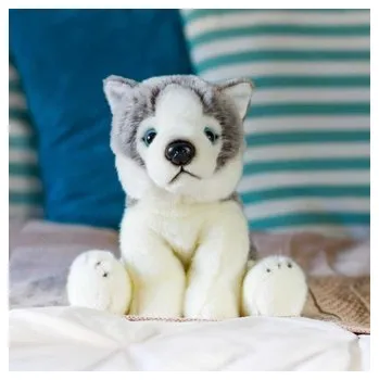 plyšák Pluszowy Husky