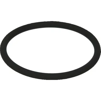 Palivová nádrž O kroužek pro palivové čerpadlo Scania R