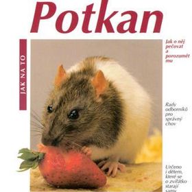 Obrázek k inzerátu: Potkan