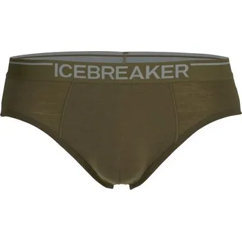Oblečení a móda Slipy Icebreaker Anatomica Briefs L loden