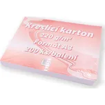 Vikpap group 119003 kreslicí karton A3…