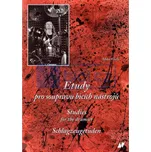 Miloš Veselý: Etudy pro soupravu bicích nástrojů