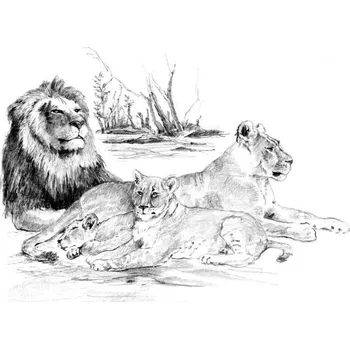 Výtvarná sada Malování skicovacími tužkami 39x28,5 cm - Lví smečka