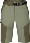 Kraťasy DIRECT ALPINE FREMONT SHORTS Man velikost M