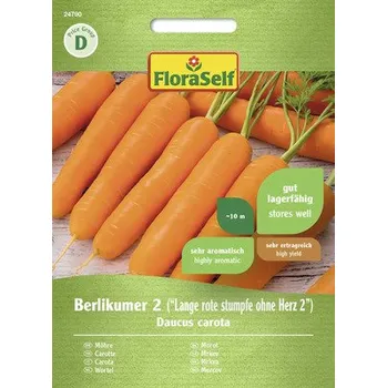 Semeno Mrkev Berlikumer 2 FloraSelf