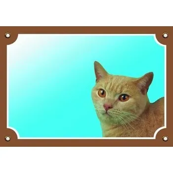 Značení Barevná cedulka Pozor pes Kočka